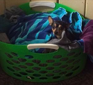 18582593_10209580689375658_688293321217410033_n